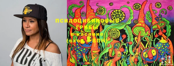 прущая мука Арсеньев
