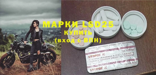 винт Аркадак