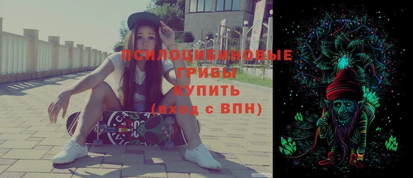 прущая мука Арсеньев