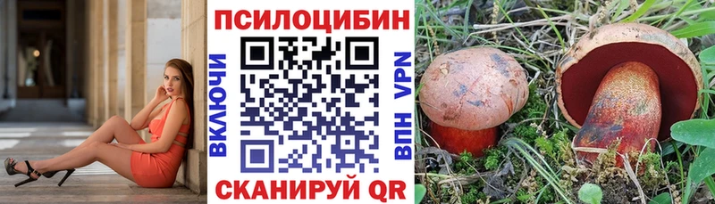 Галлюциногенные грибы GOLDEN TEACHER  Суворов 